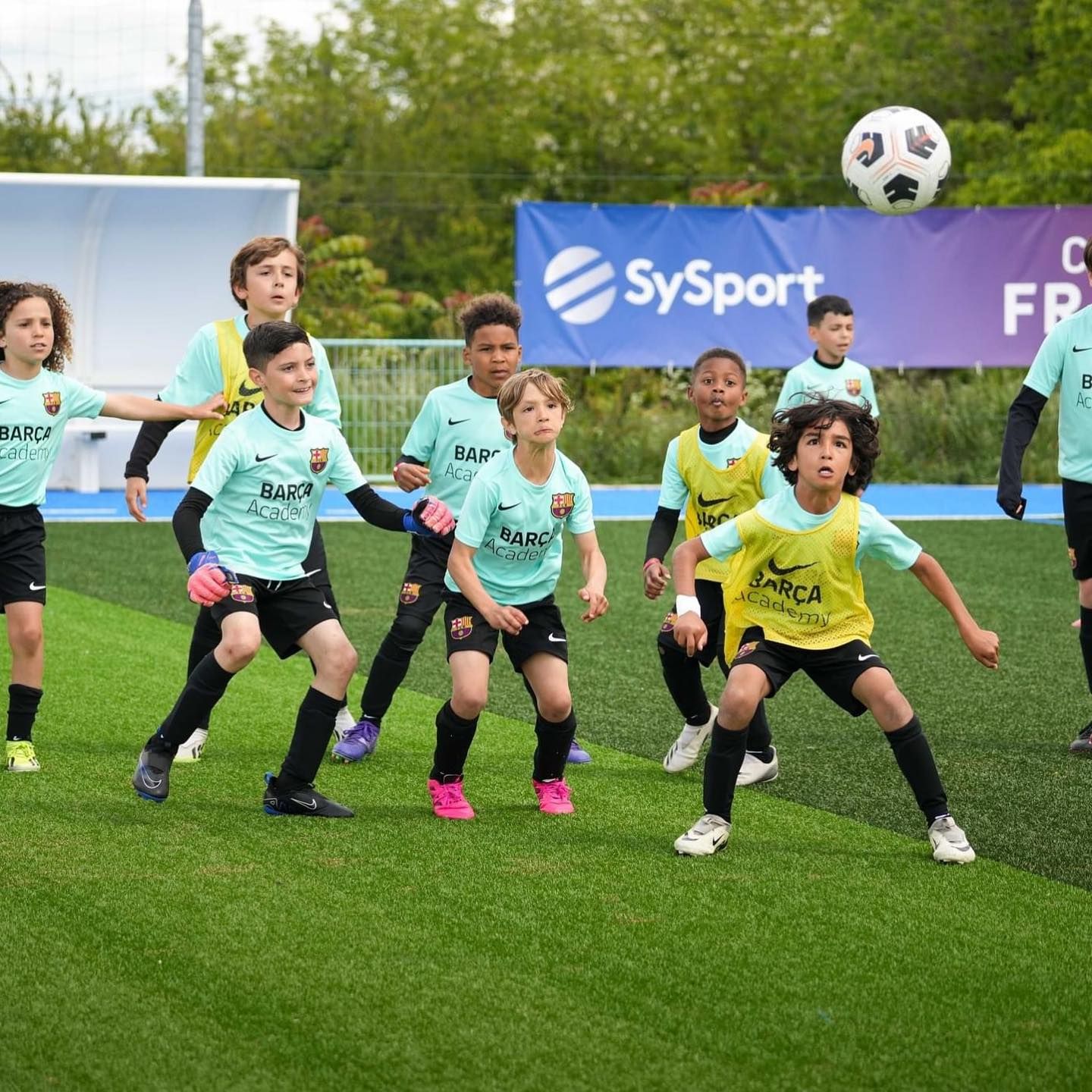 Image de diapositive